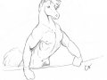 cs-horse-morph-sketch.jpg